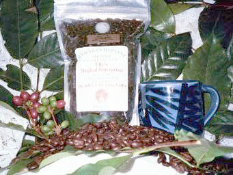 Lilys 100% Pure Kona Coffee